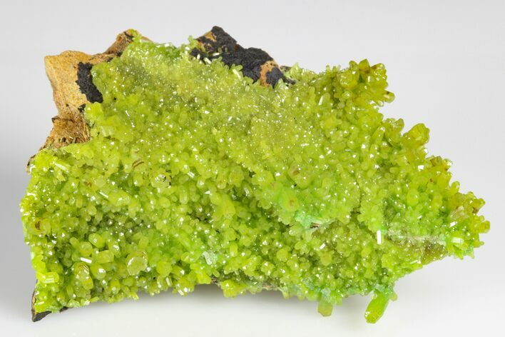 Apple-Green Pyromorphite Crystal Cluster - China #179826